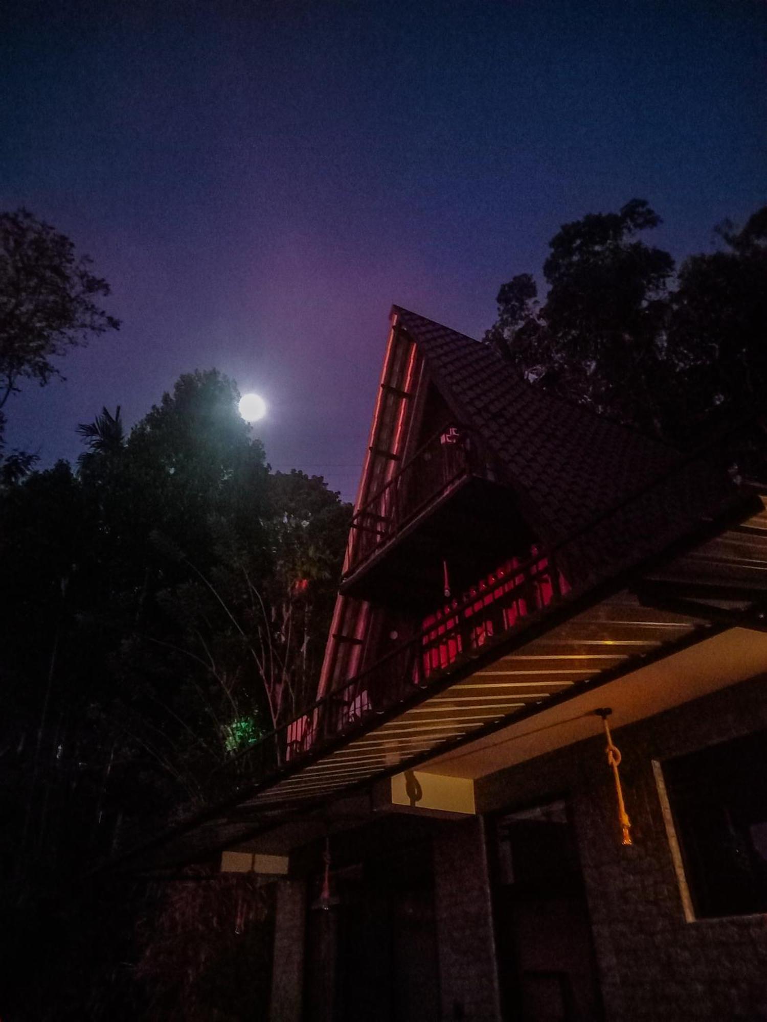 אלה White Moon Cabin & Cottage מראה חיצוני תמונה